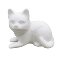 Medium Cat