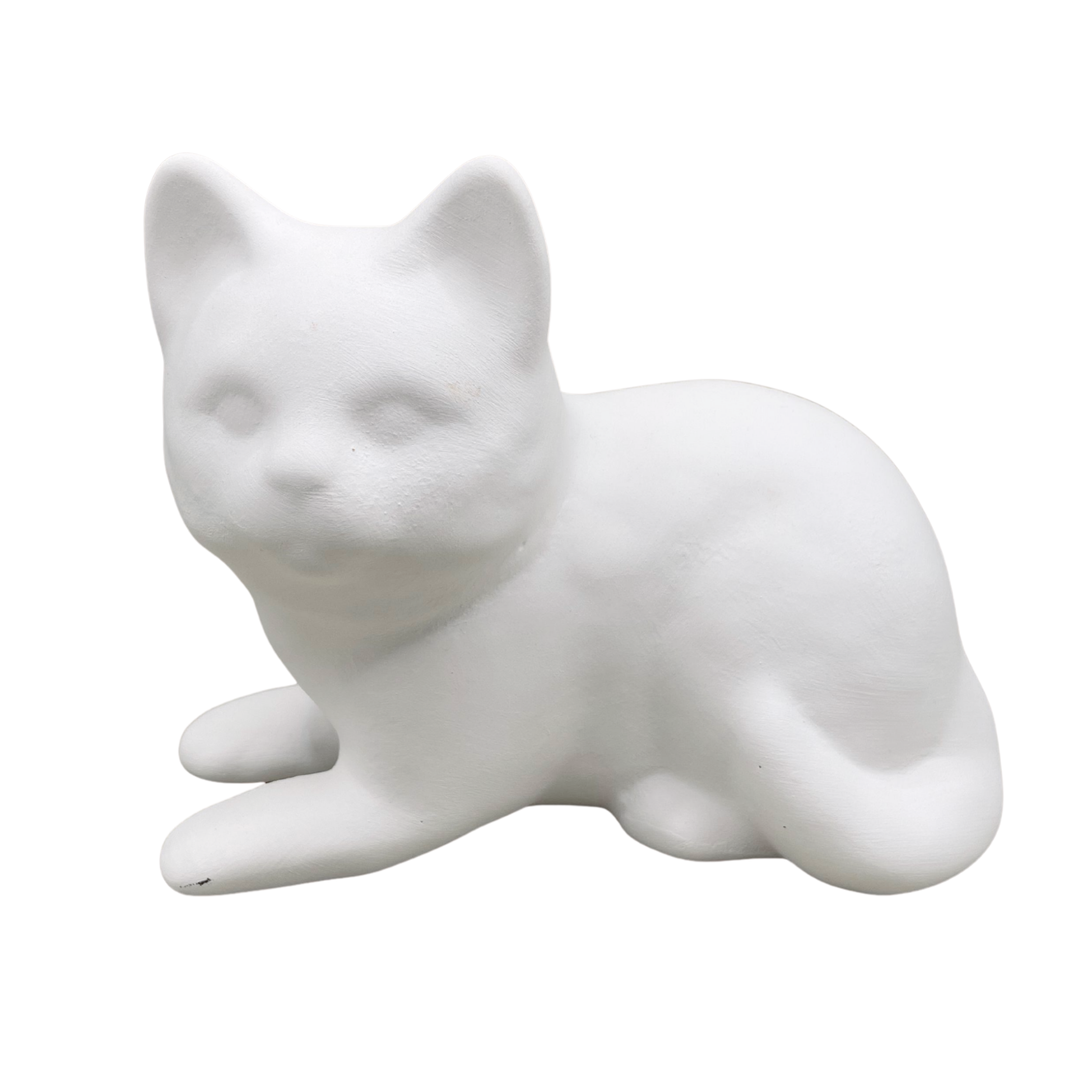 Medium Cat