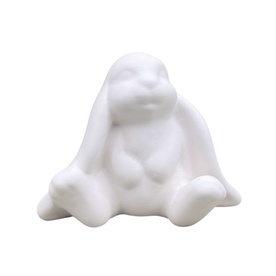 Floppy Ears Rabbit