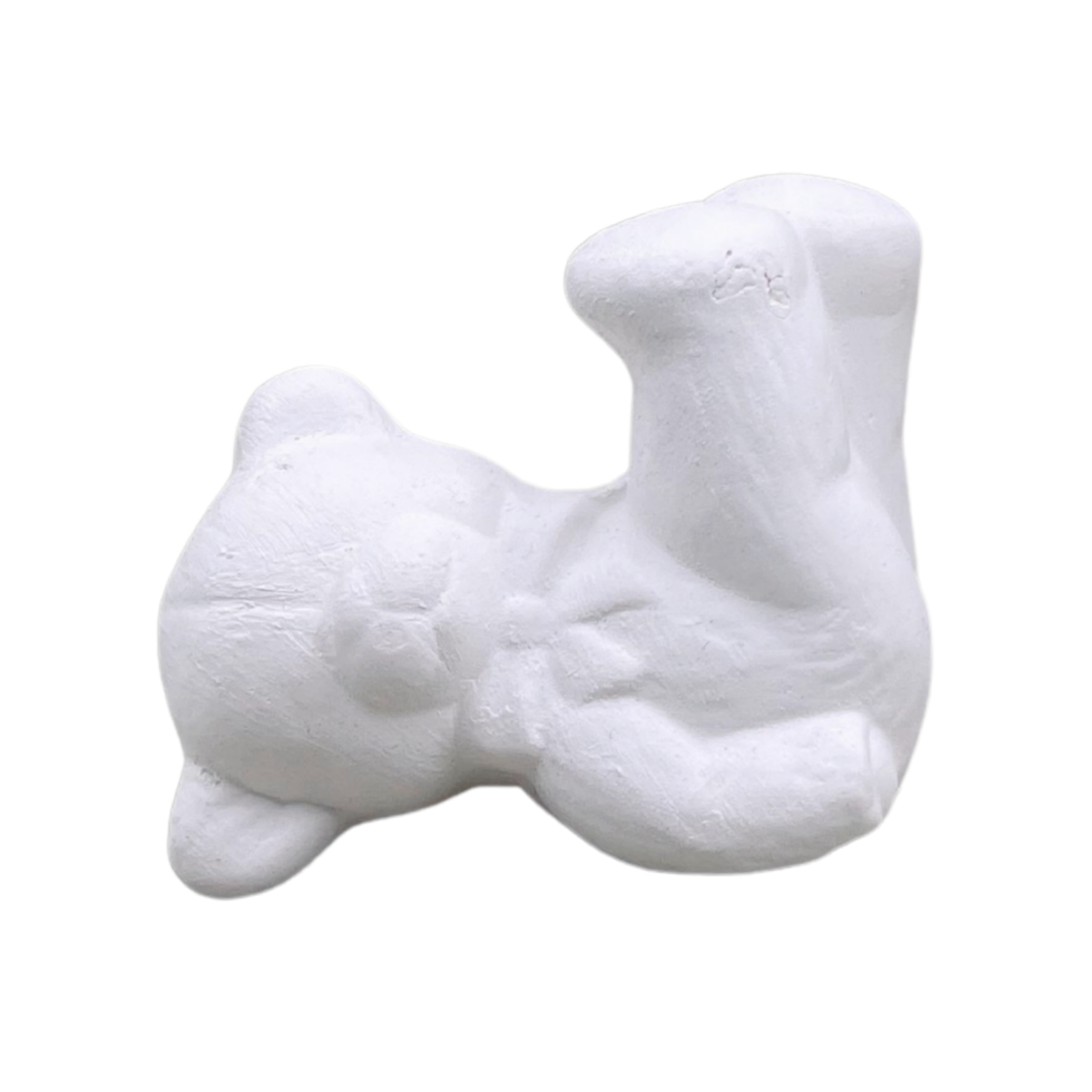 Collection Teddy