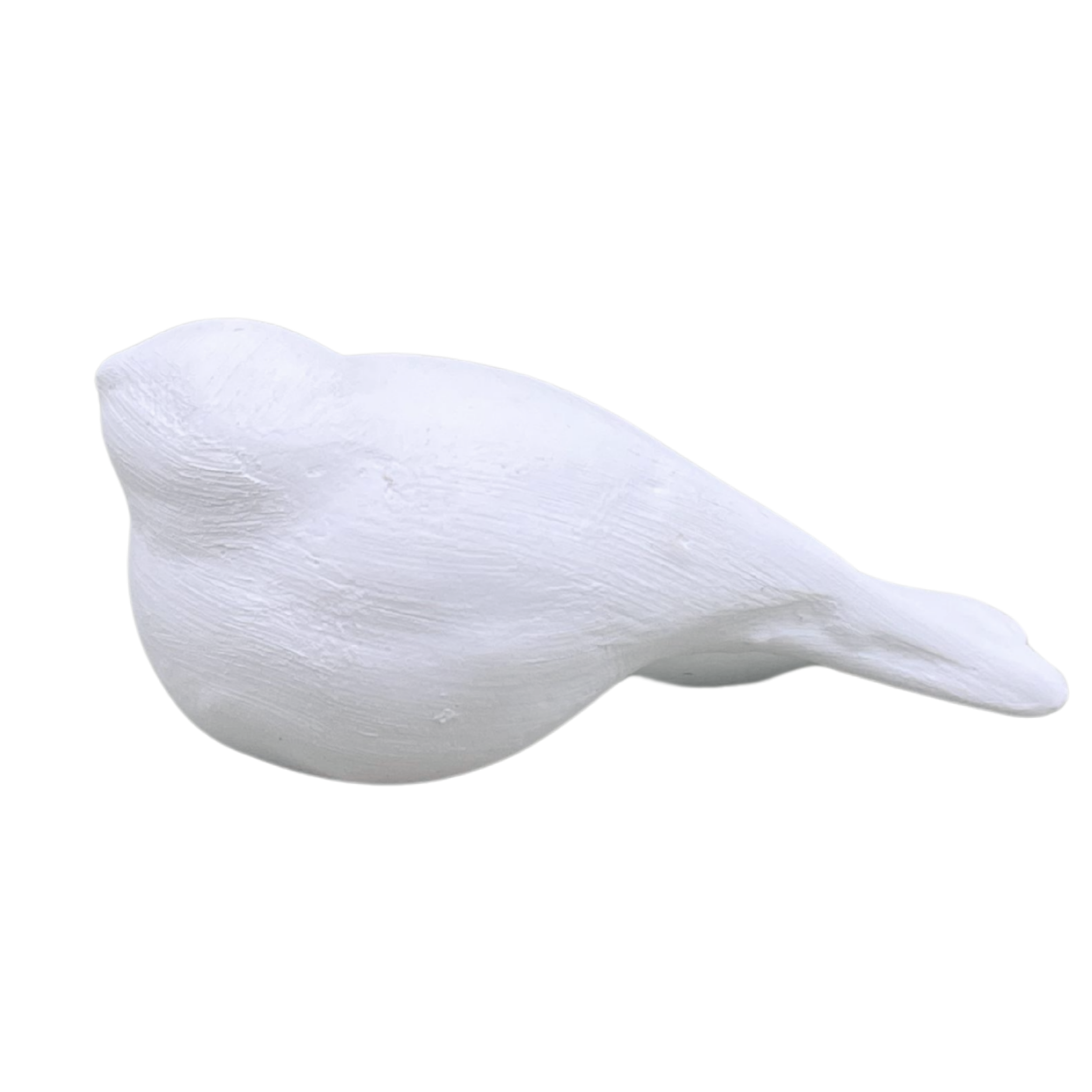 Small Bird