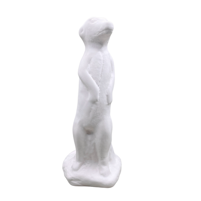 Meerkat
