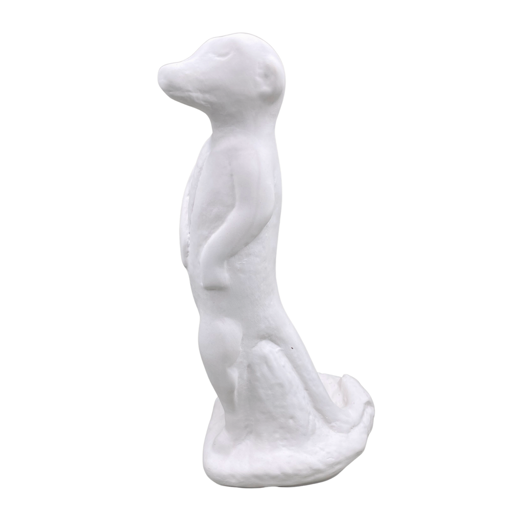 Meerkat