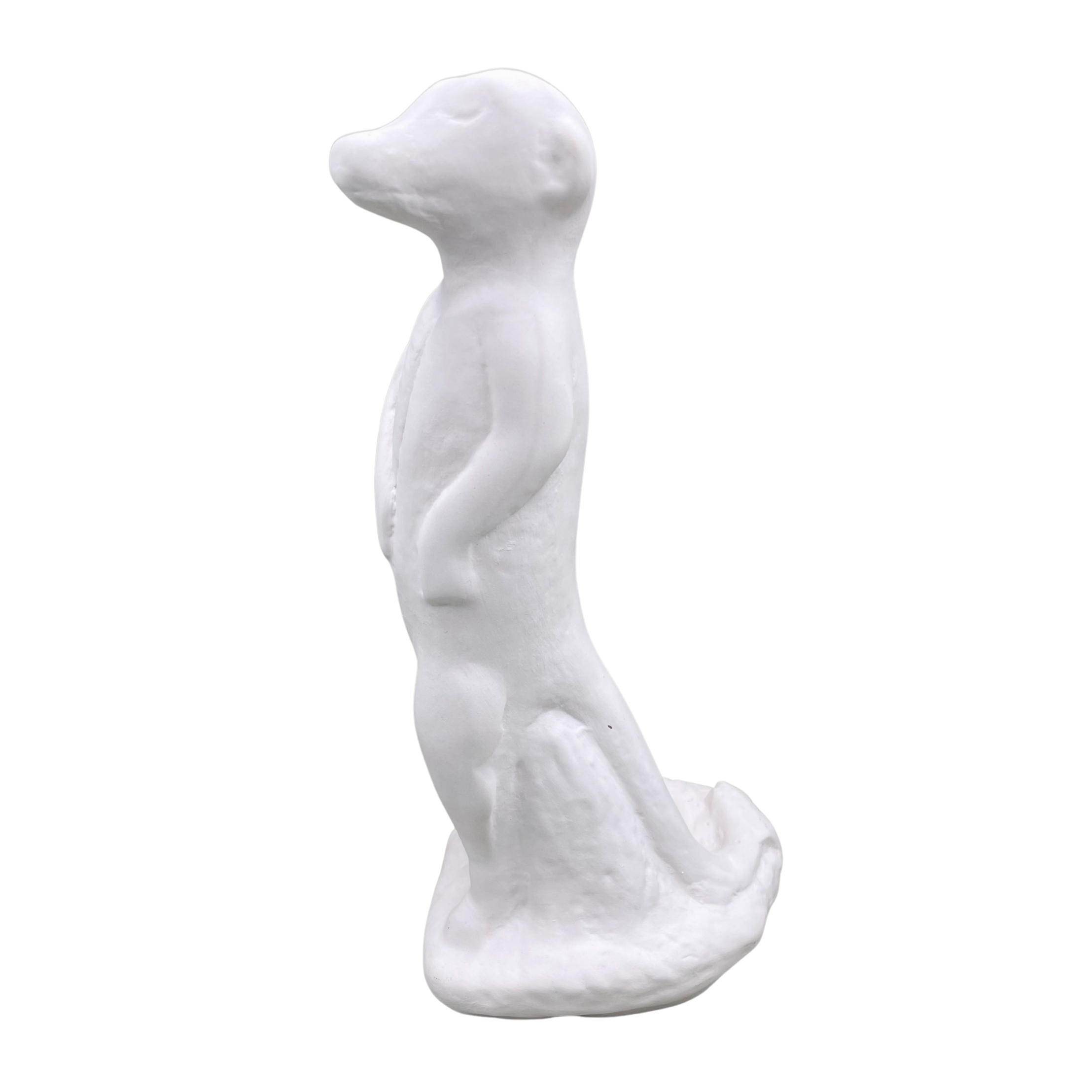 Meerkat