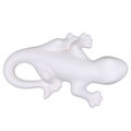 Gecko