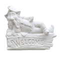 Welcome Gnome