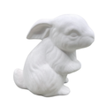 Sitting Rabbit