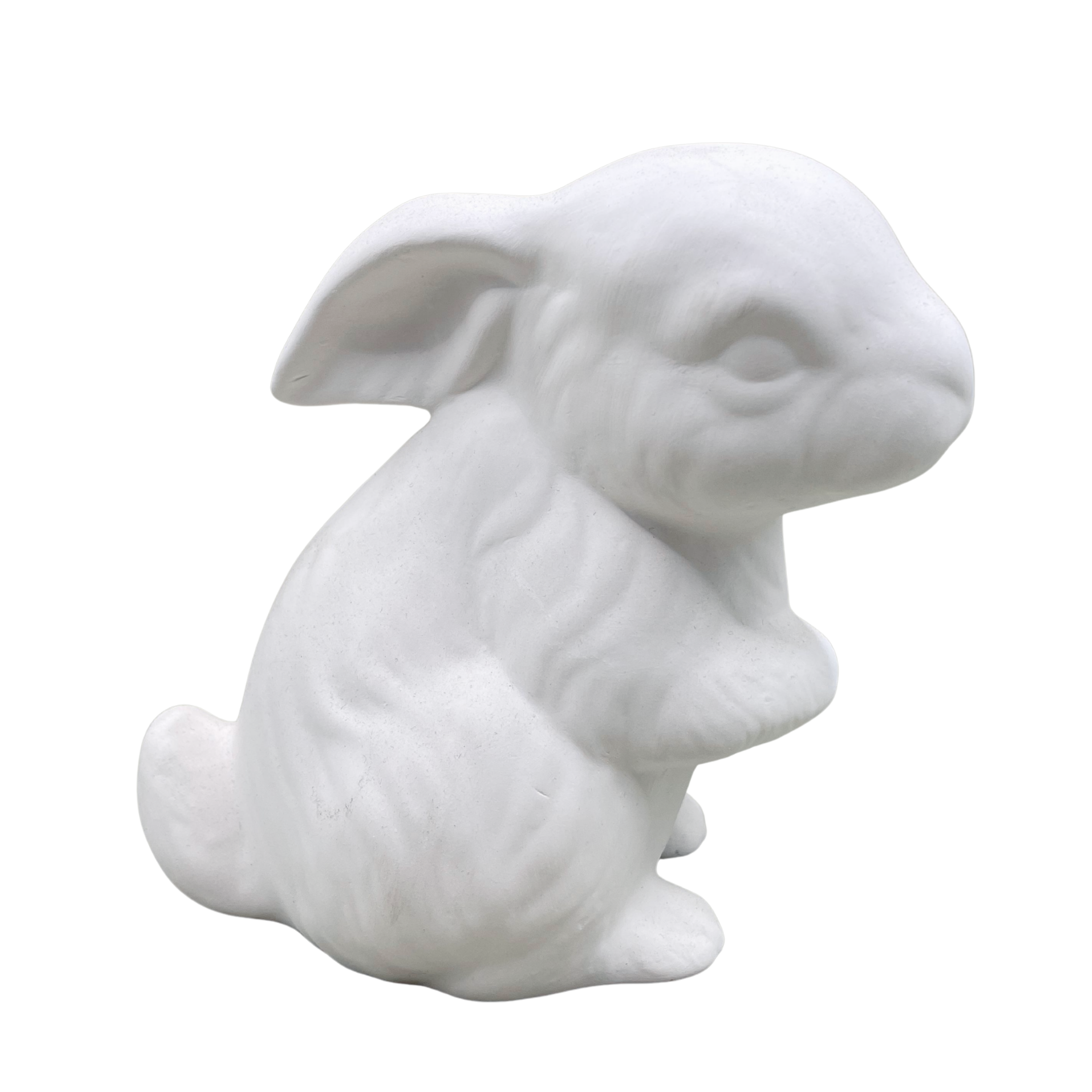 Sitting Rabbit