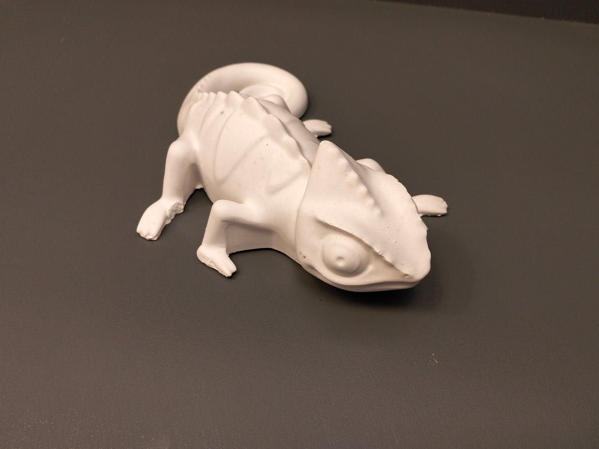 Chameleon - Eco