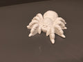 Spider - Eco