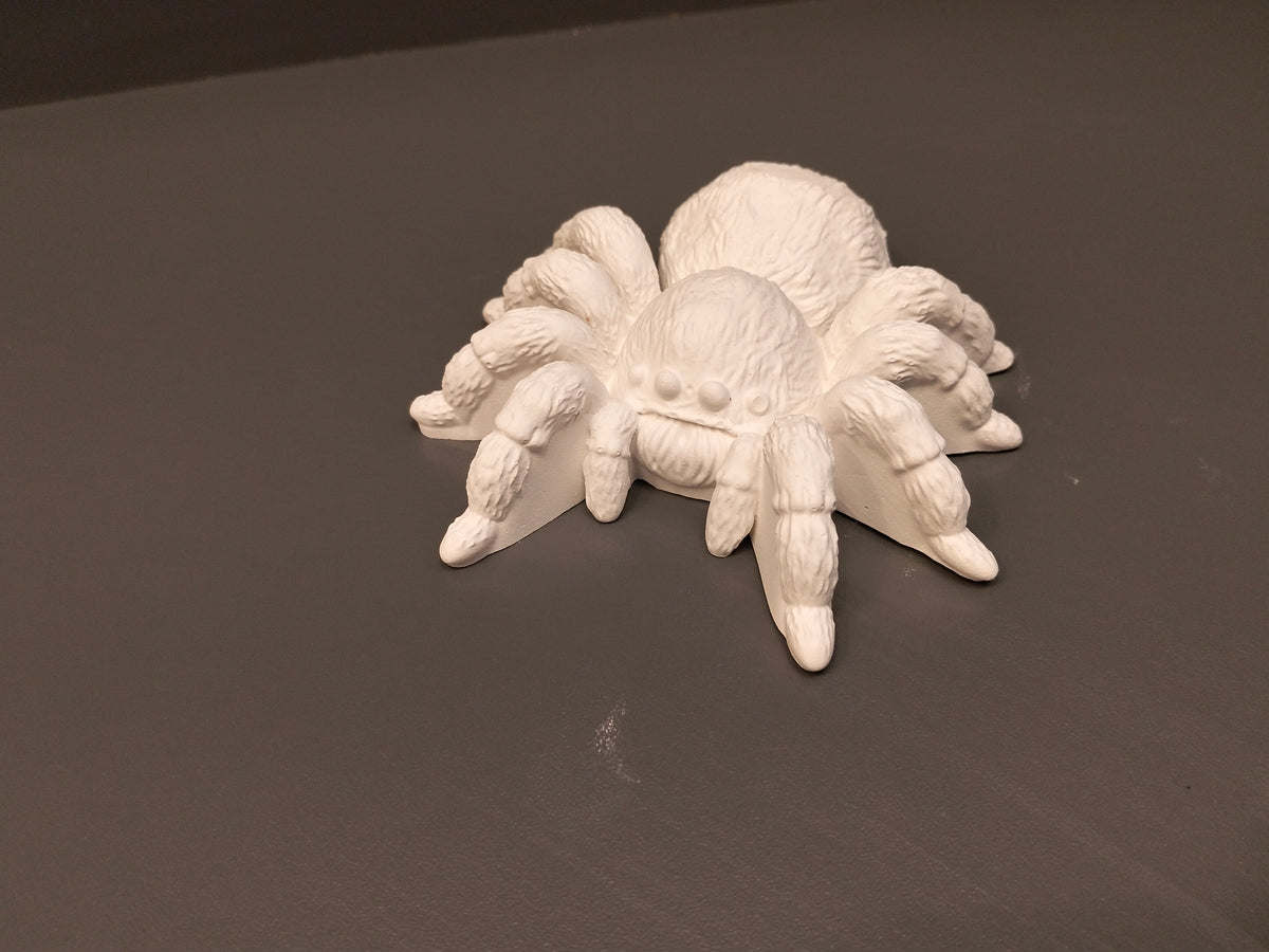 Spider - Eco