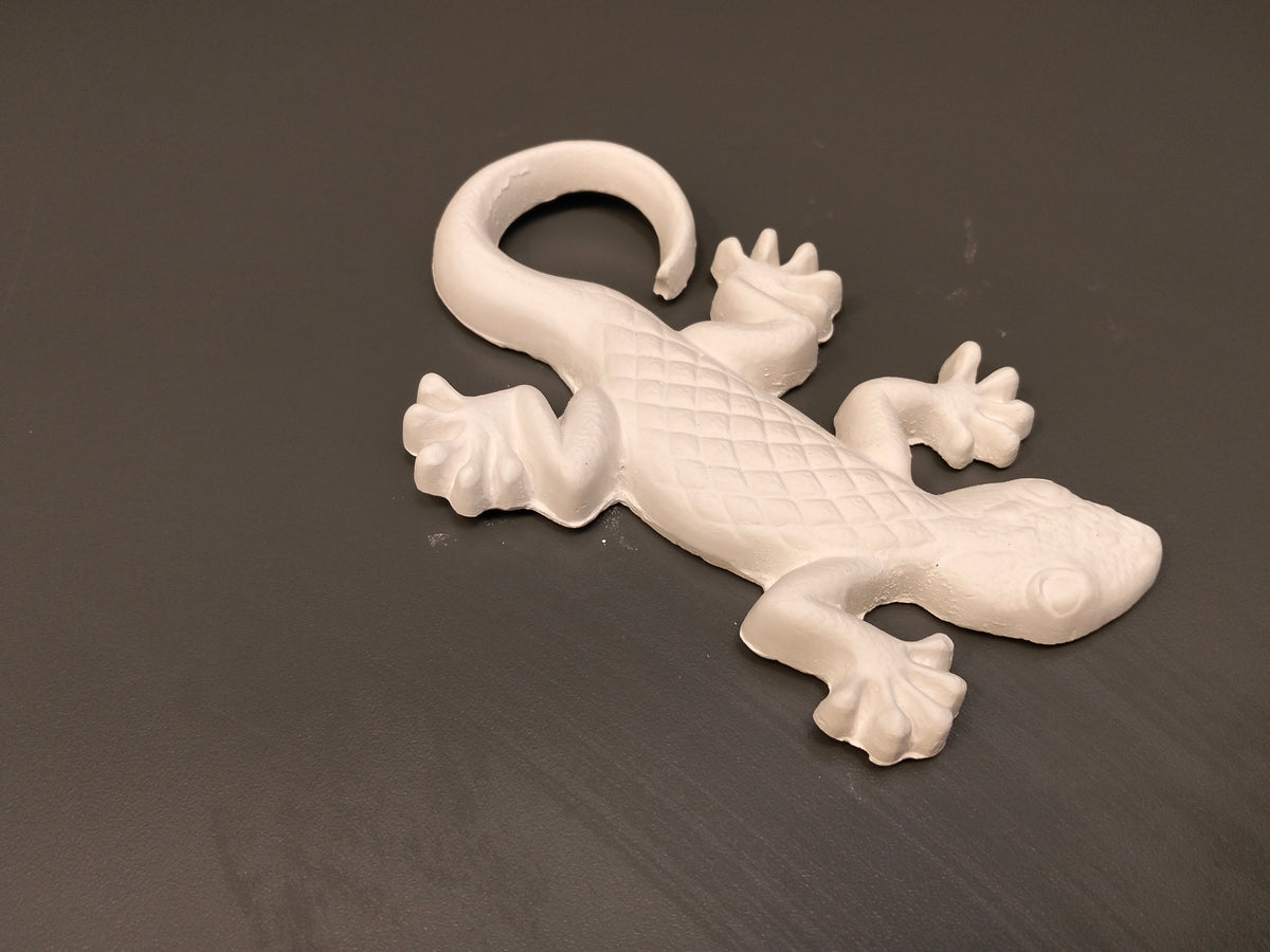 Gecko - Eco