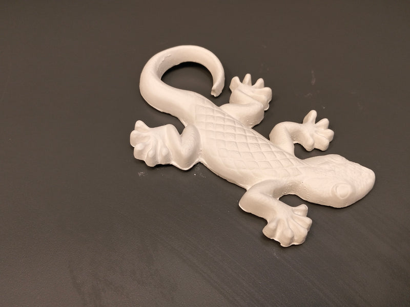 Gecko - Eco