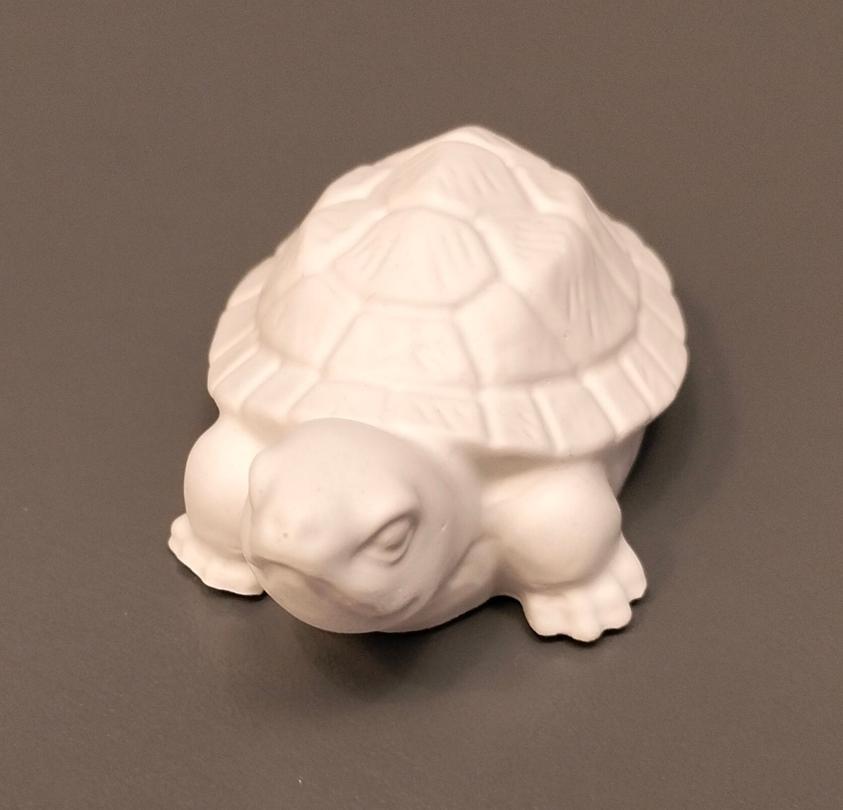 Turtle Small - Eco