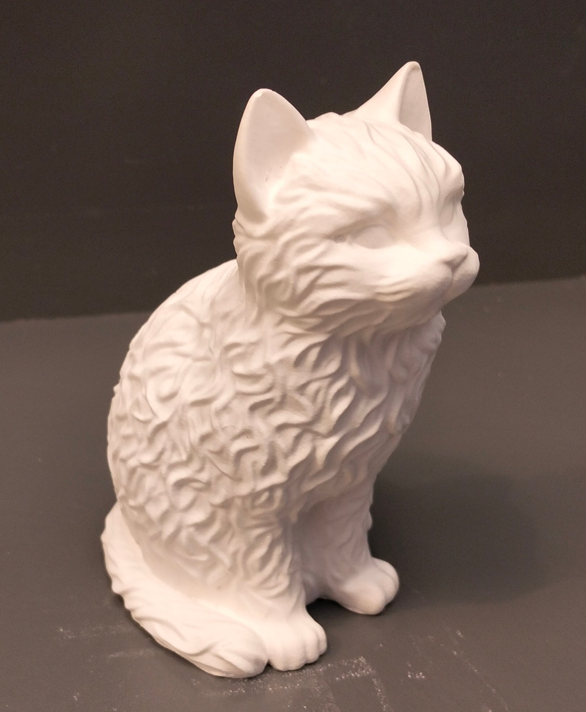 Cat - Eco