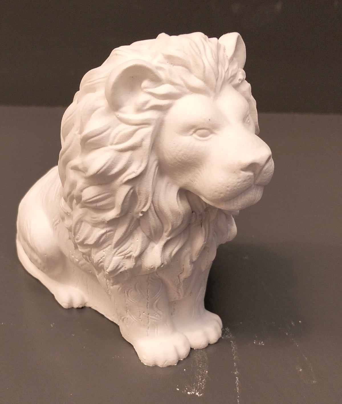 Lion - Eco