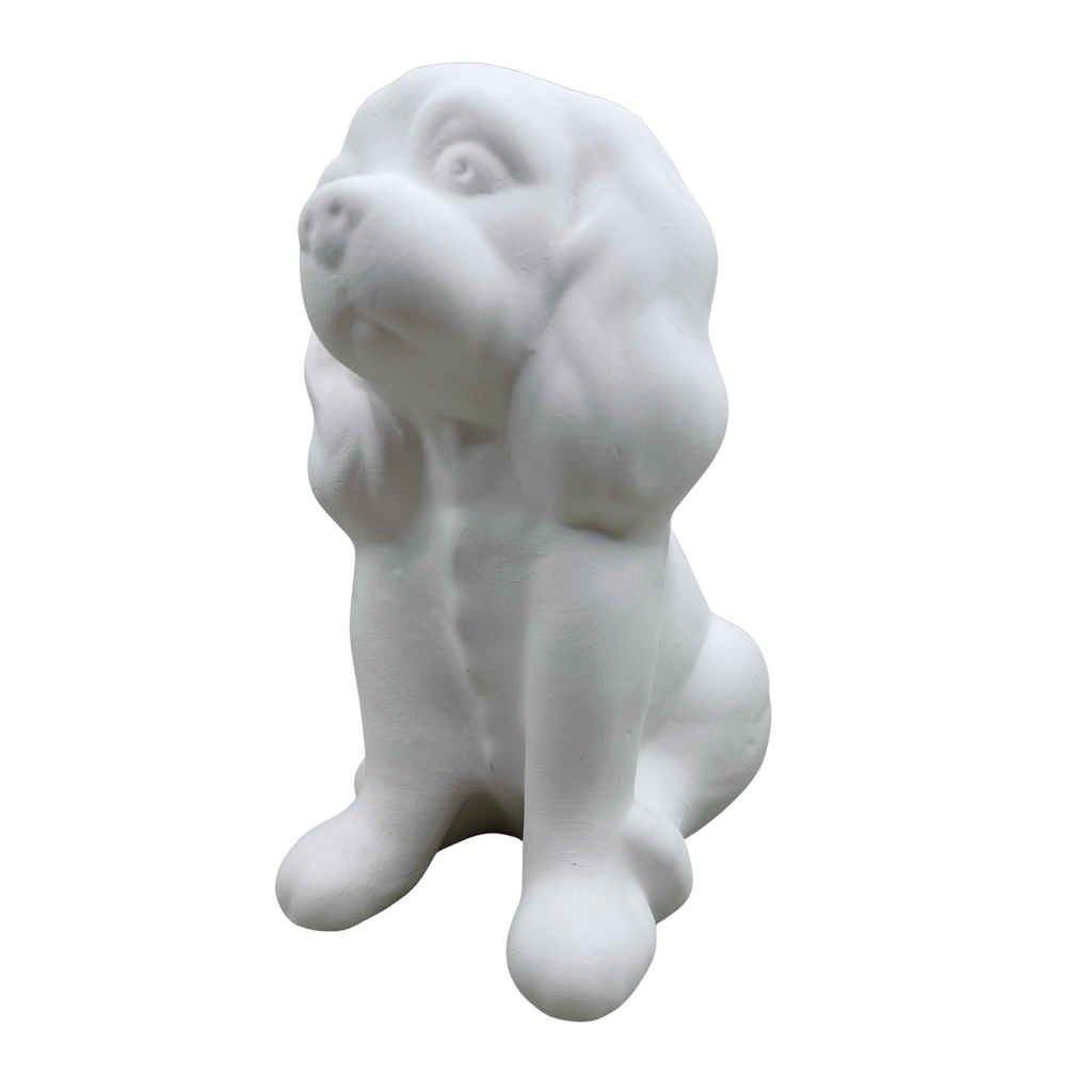 Spaniel Dog