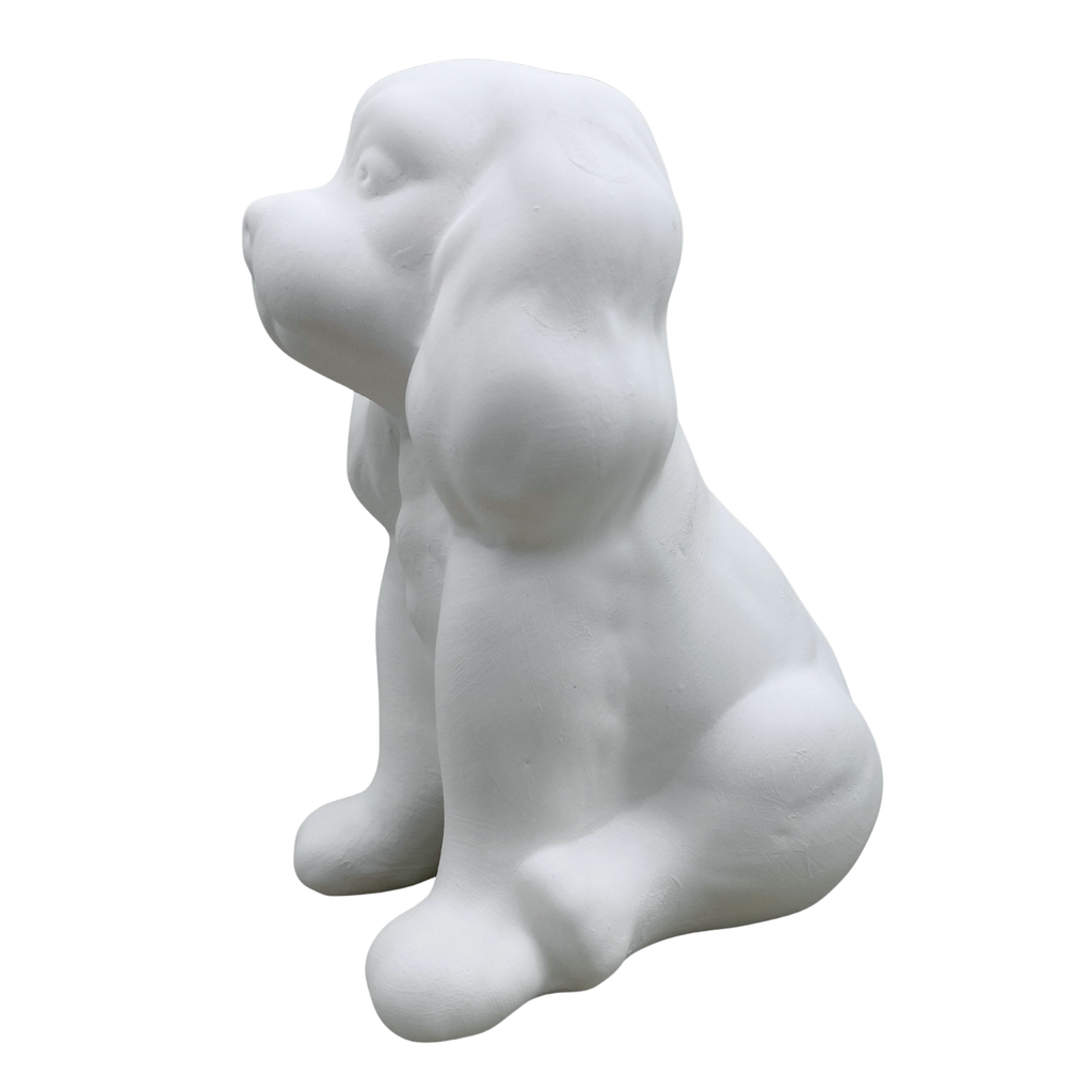 Spaniel Dog