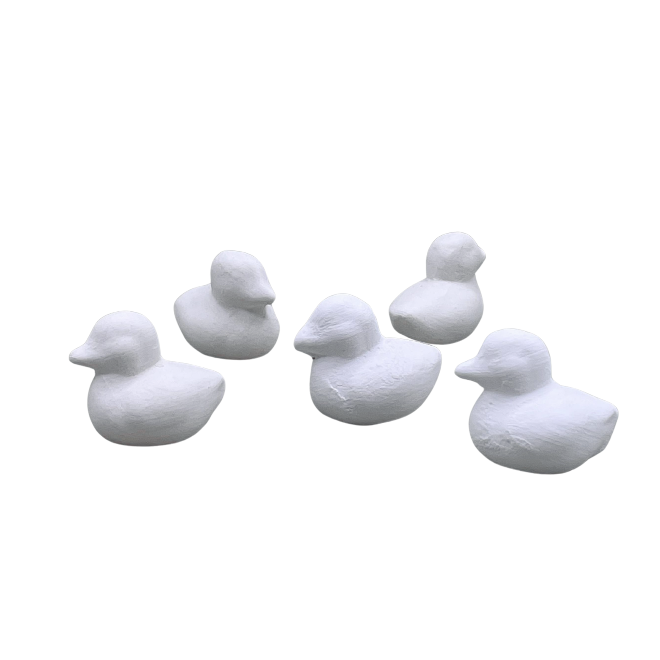 Small Duck