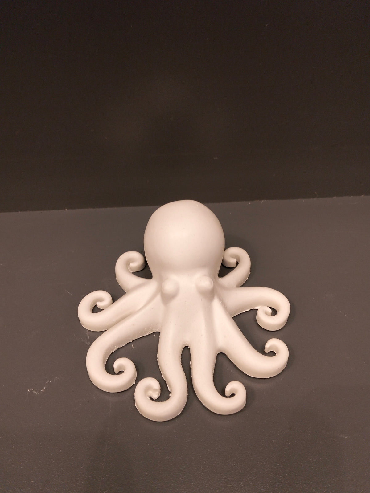 Octopus - Eco