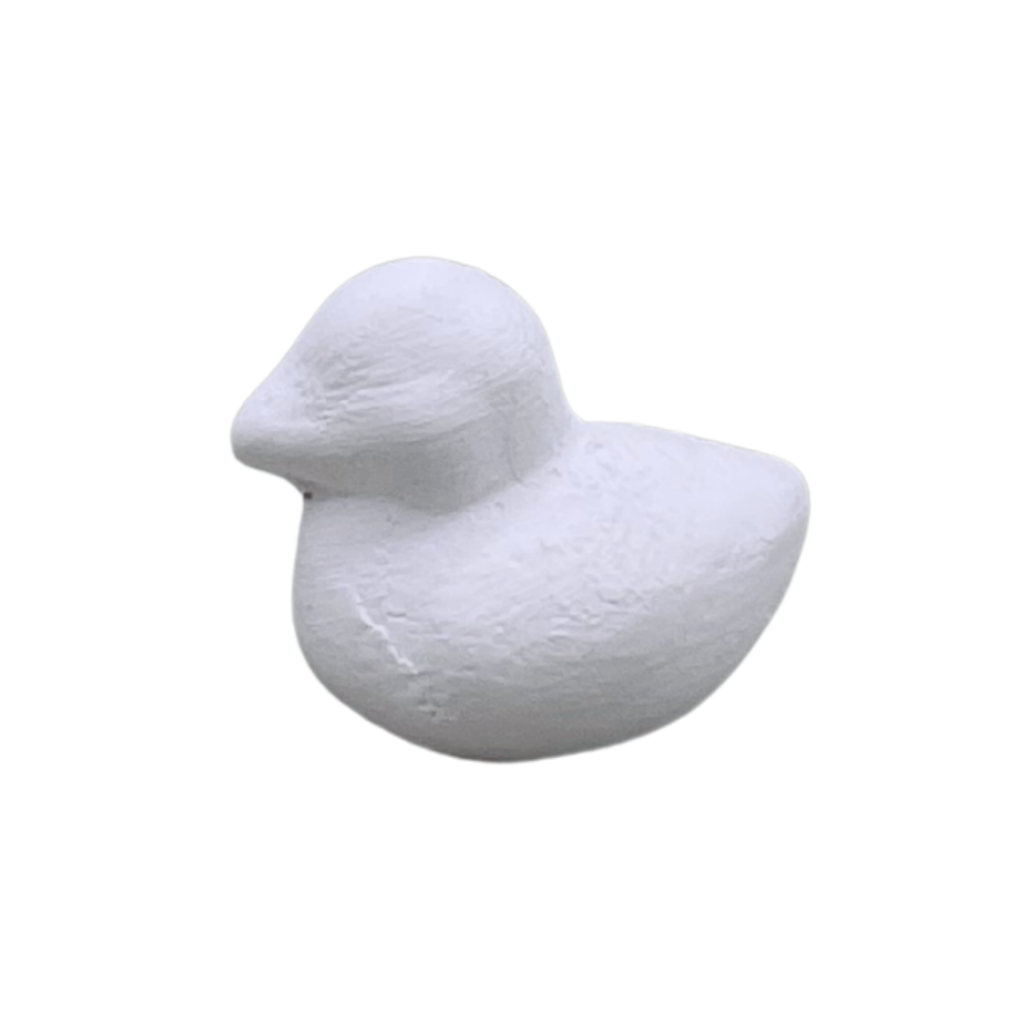 Small Duck