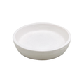 Small Shallow Bowl
