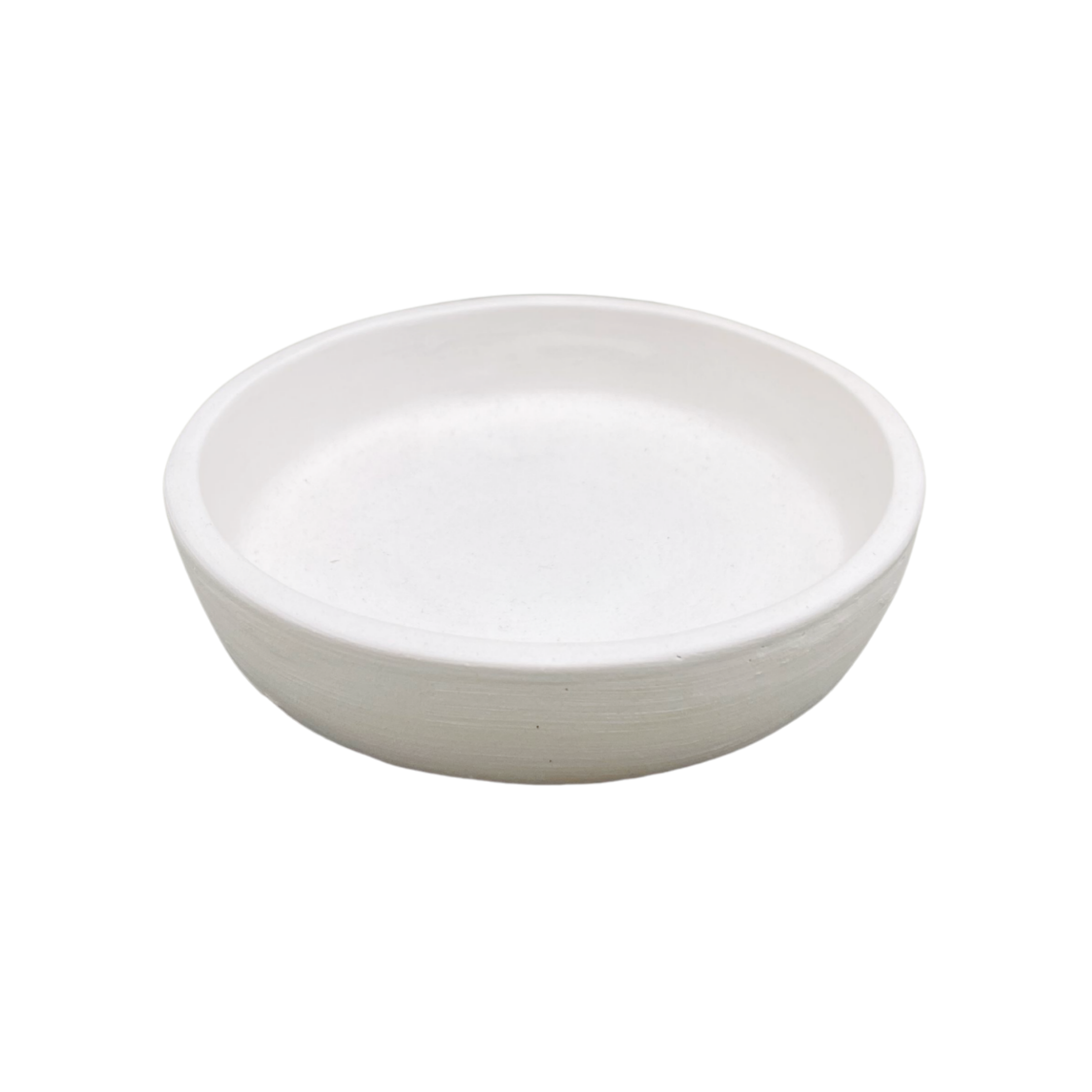 Small Shallow Bowl