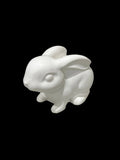 Smooth Bunny - Eco