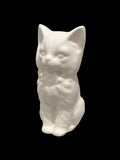 Fluffy Cat