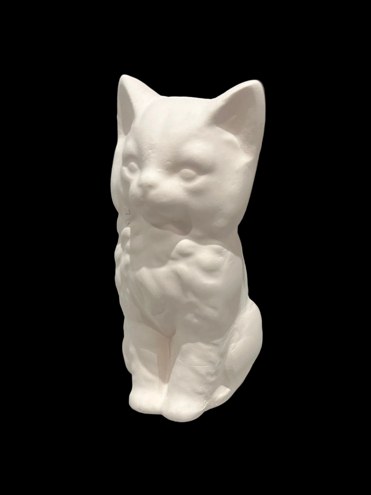 Fluffy Cat