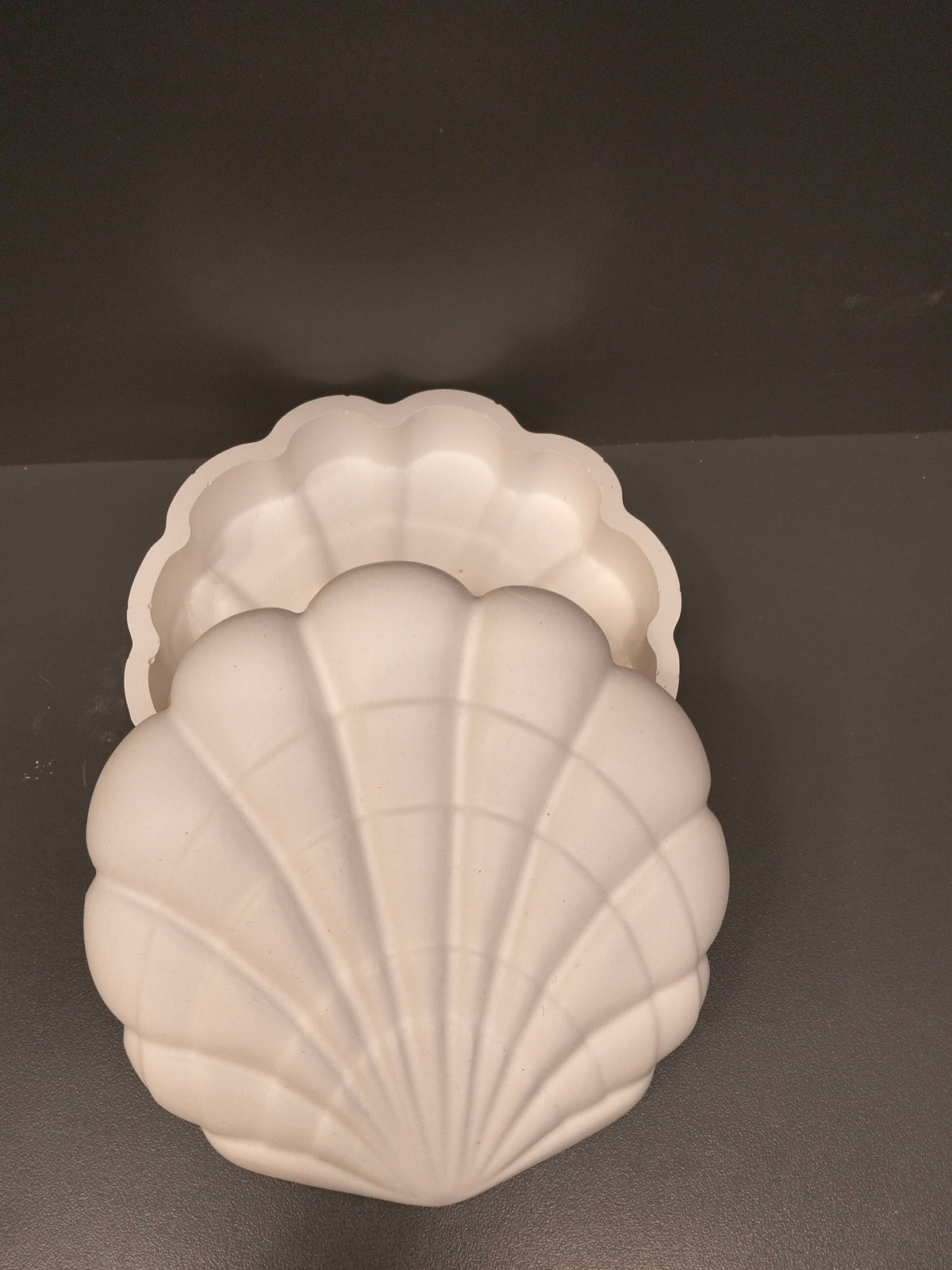 Shell Trinket Box - Eco