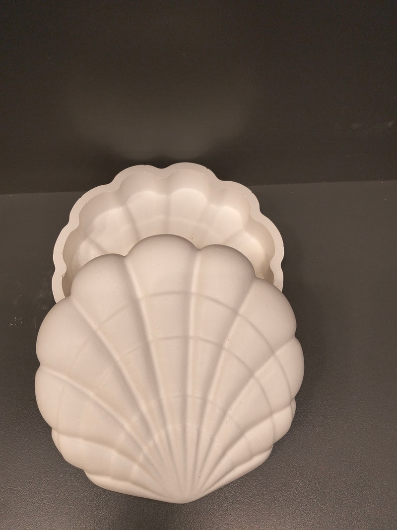 Shell Trinket Box - Eco