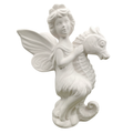 Sea Horse Fairy