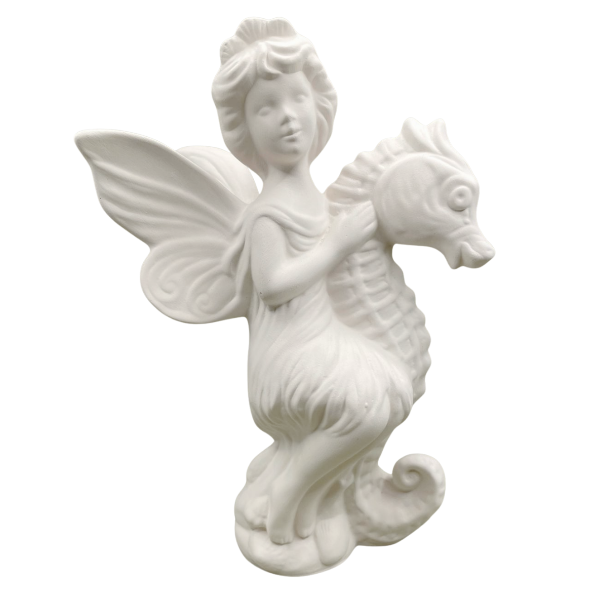 Sea Horse Fairy