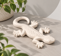 Gecko - Eco