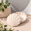 Shell Trinket Box - Eco