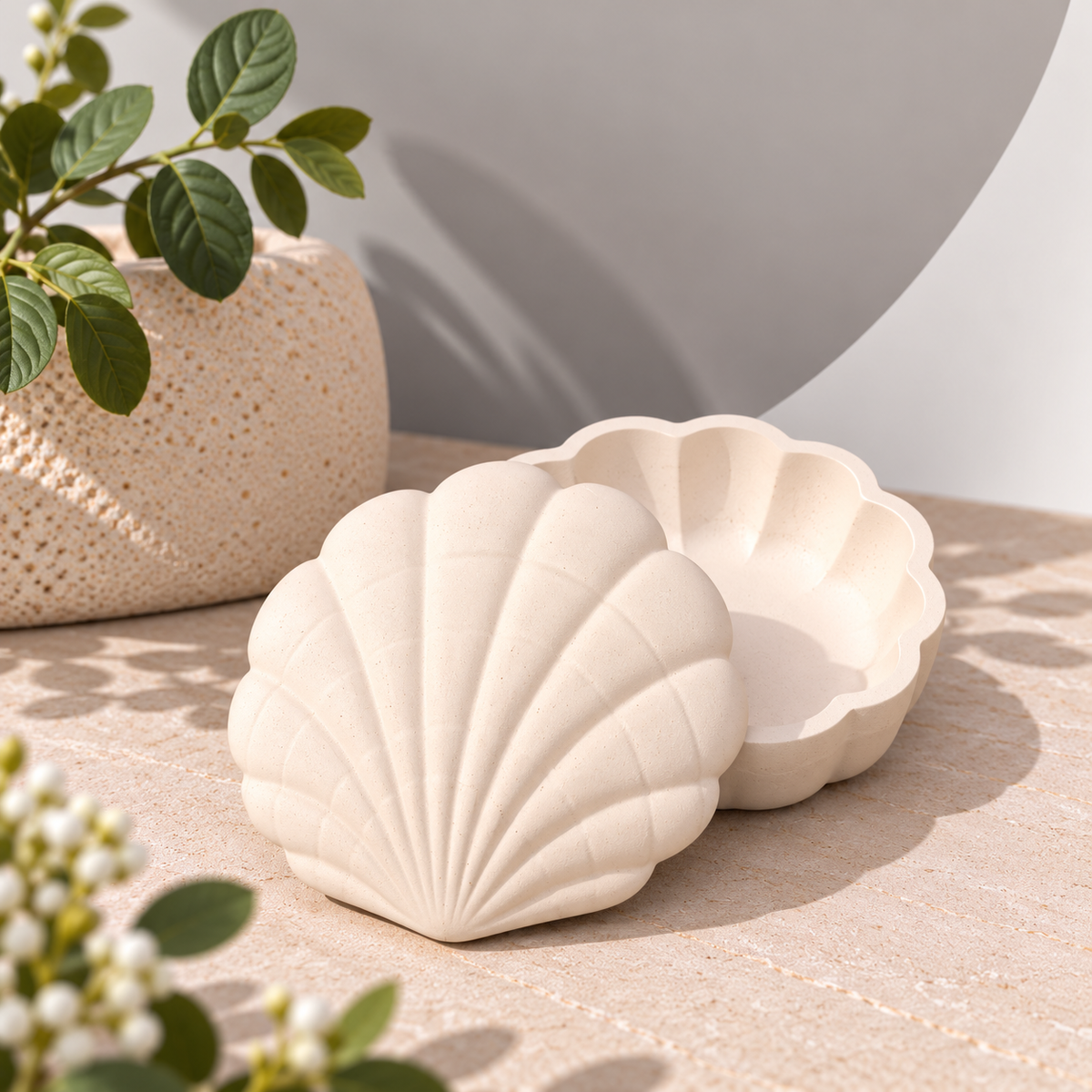 Shell Trinket Box - Eco