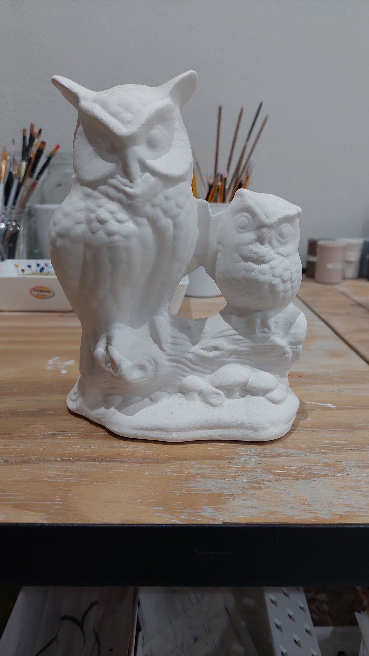 Owls on a branch