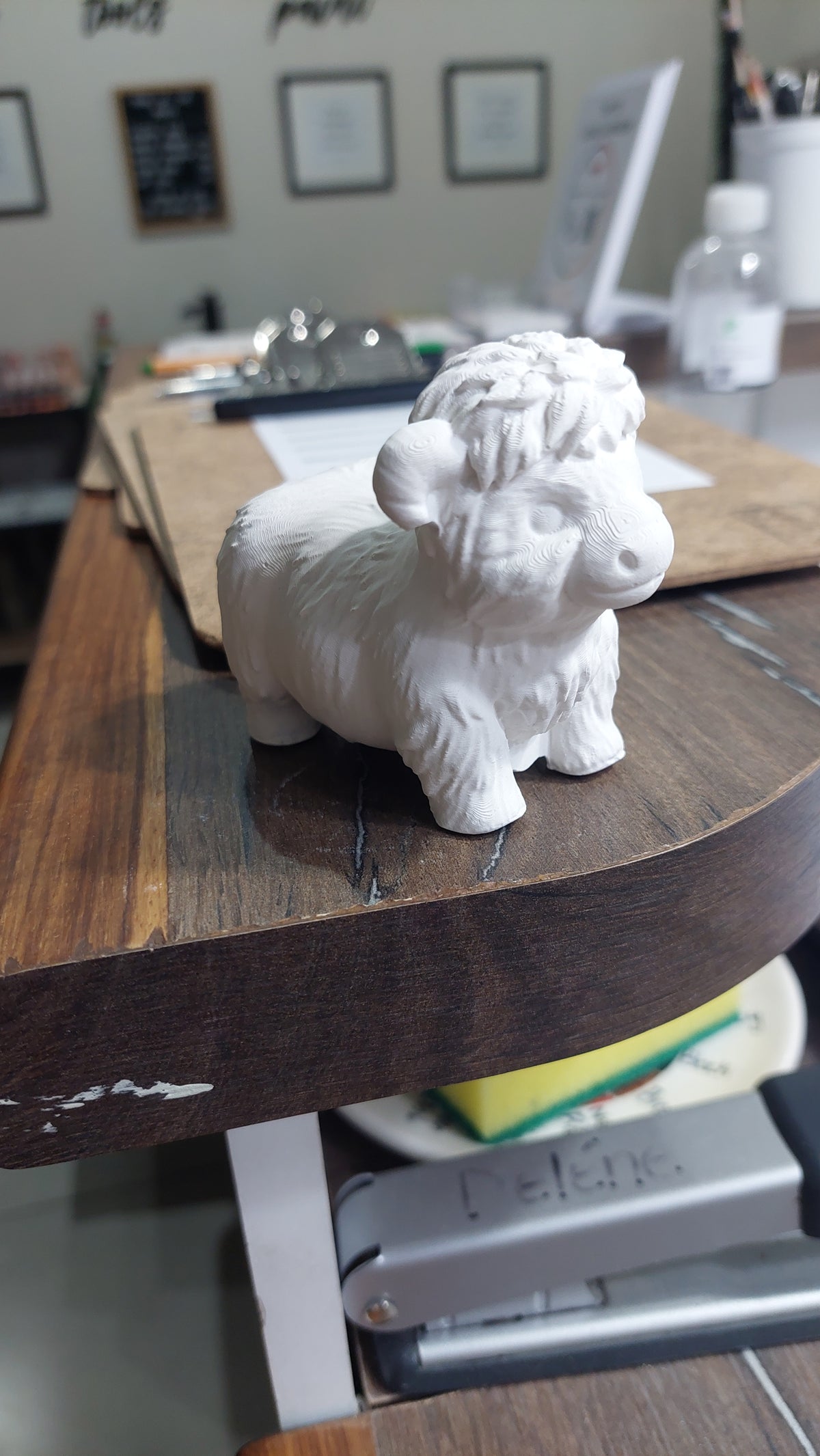 Sheep - Eco