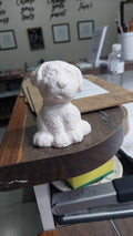 Doggy Collection